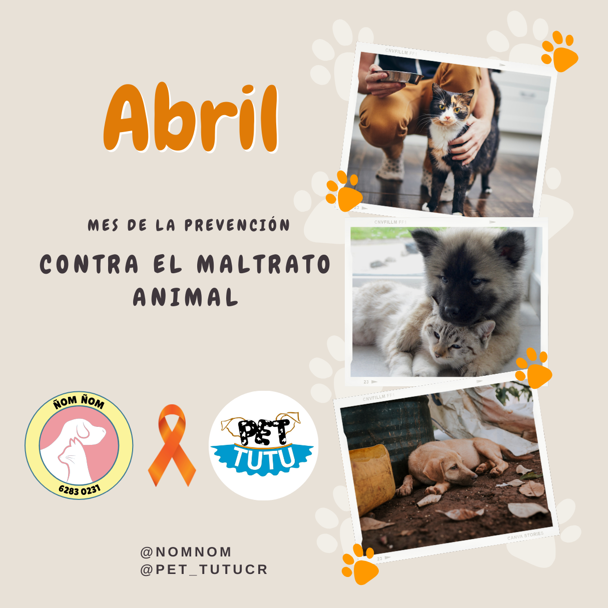 Abril: Mes de la Prevención contra el Maltrato Animal - NomNomCR.com