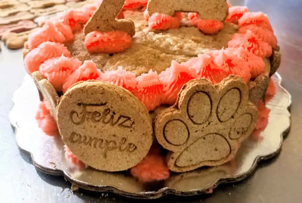 Queques para Perro en Costa Rica