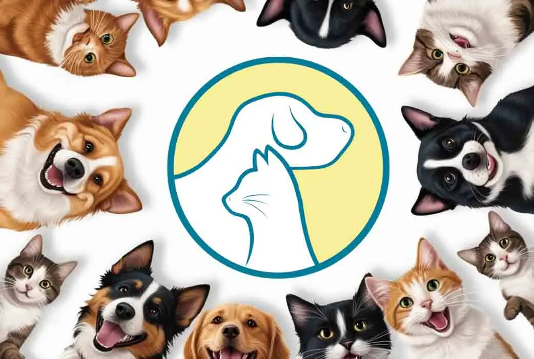 NomNom Nace para los Perros y Gatos de Costa Rica