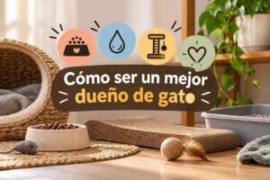 Cómo ser un mejor dueño de gato: cuidados y convivencia