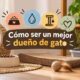 Cómo ser un mejor dueño de gato: cuidados y convivencia