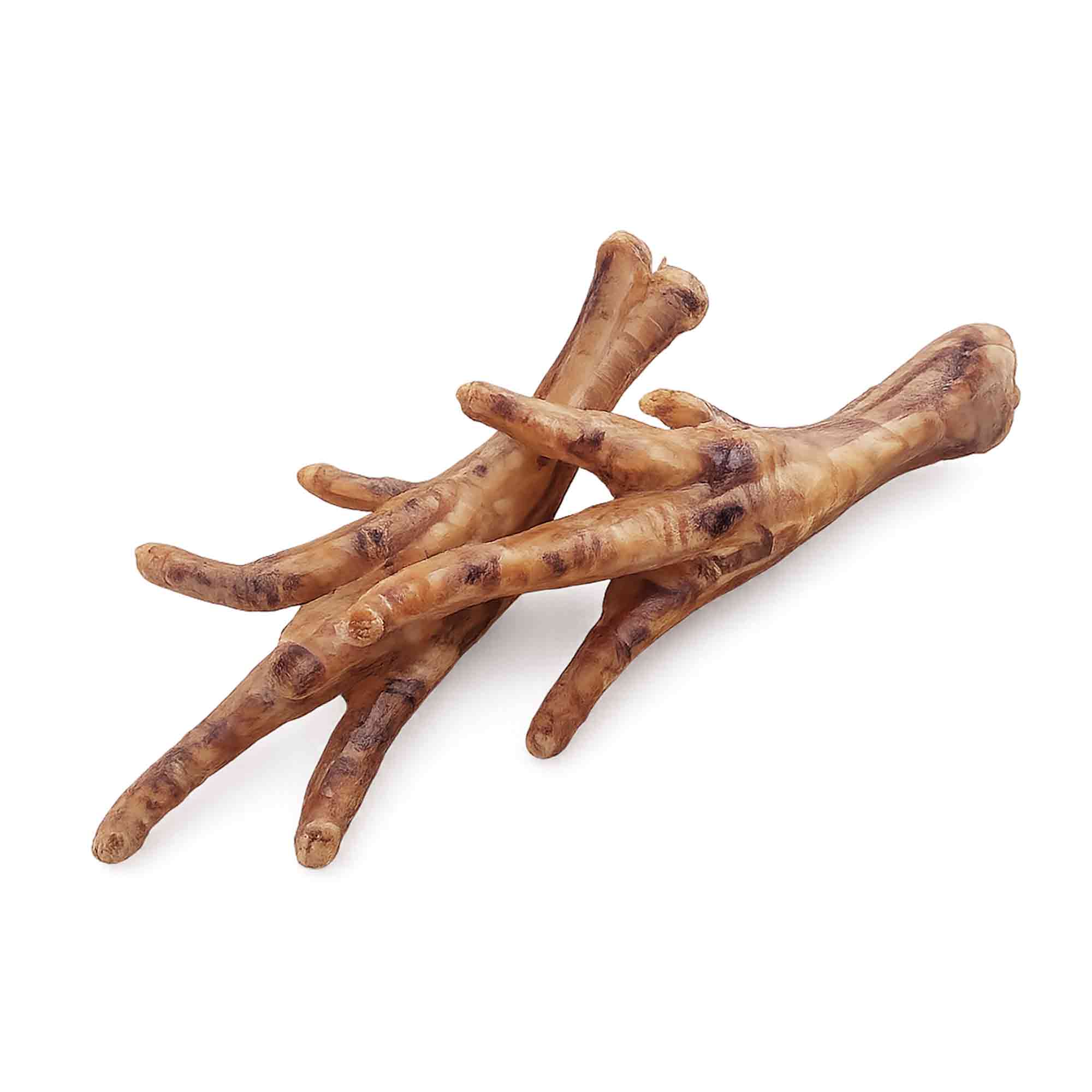ION: Patas de pollo deshidratadas ÑomÑom — snack natural para perros con masticación funcional. DESCRIPTION: Patas de pollo deshidratadas para perros con proteína natural y colágeno. Snack artesanal costarricense diseñado para complementar rutinas de entretenimiento, enriquecimiento ambiental y alimentación natural canina. Imagen 05 — 2 patas close-up ALT: Patas de pollo deshidratadas crujientes para perros alimentación natural