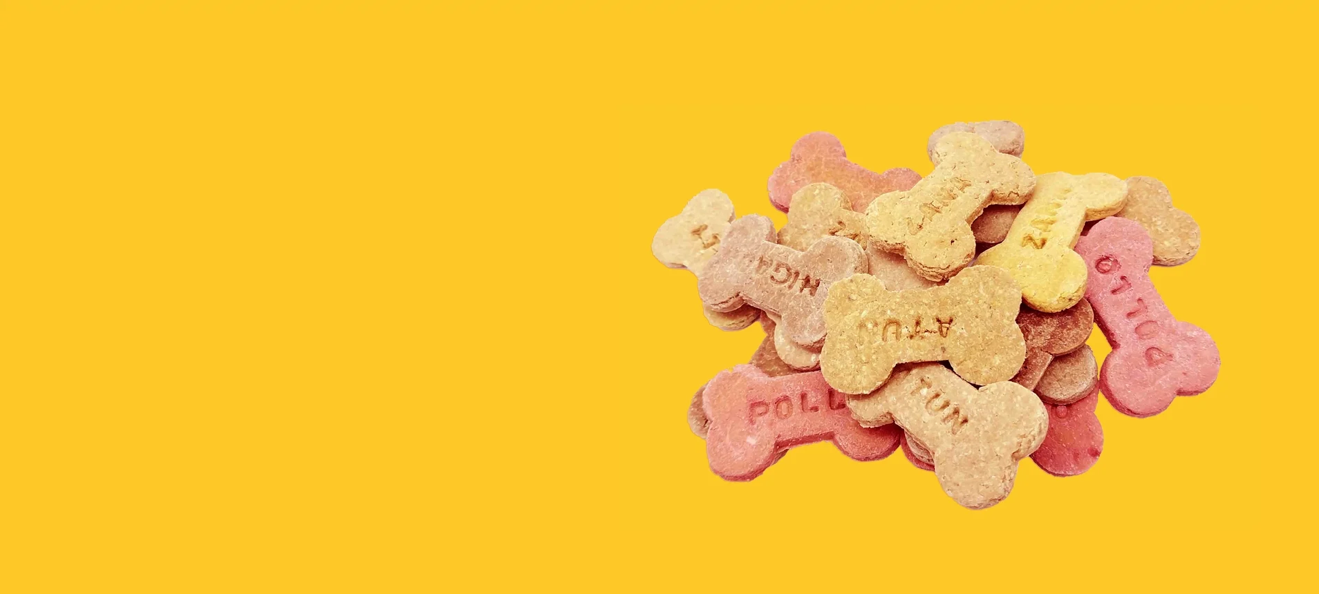 Galletas para Perros y Gatos en Costa Rica Productos Galletas para Perros y Gatos en Costa Rica: ÑomÑom