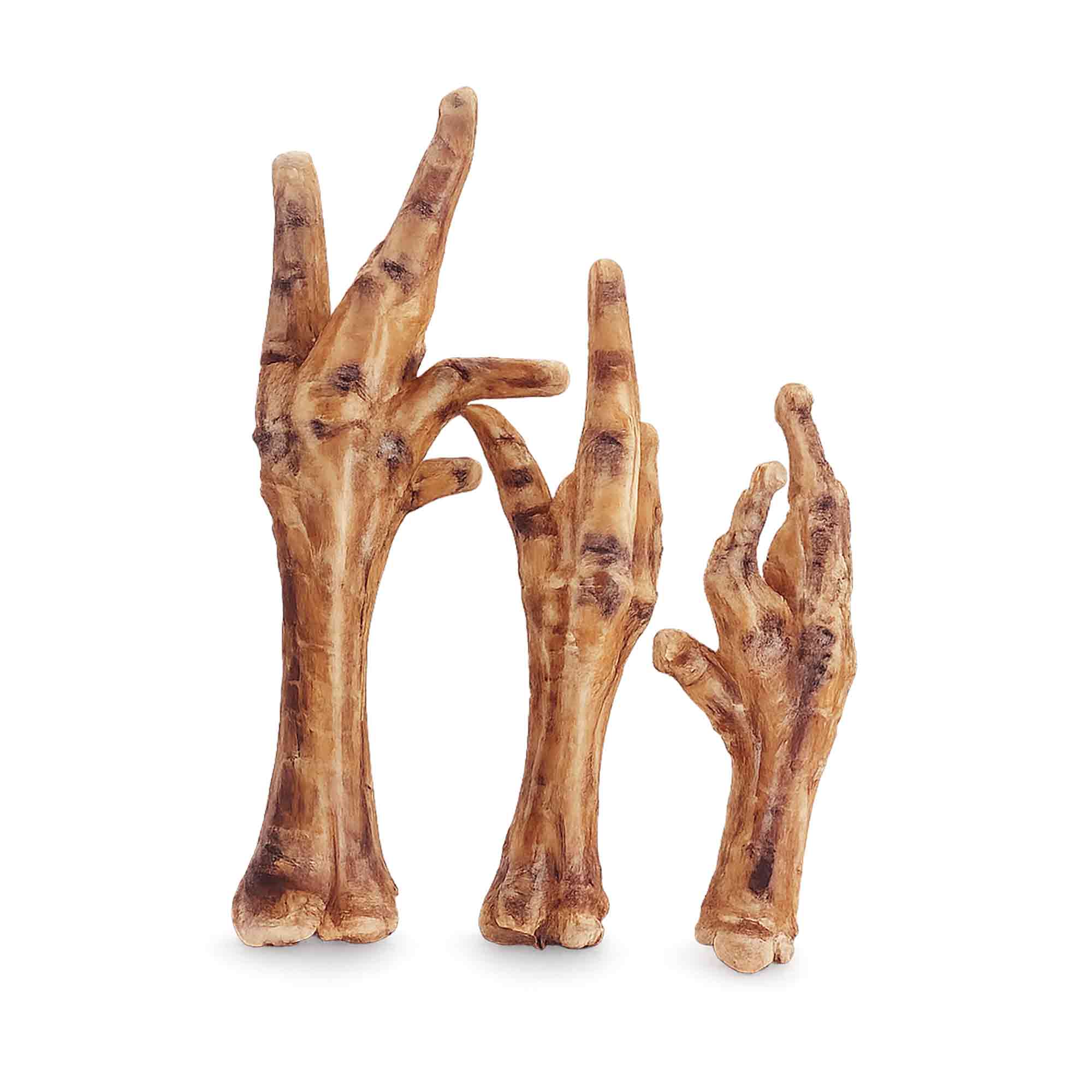 Snack natural de patas de pollo para perros deshidratados Costa Rica