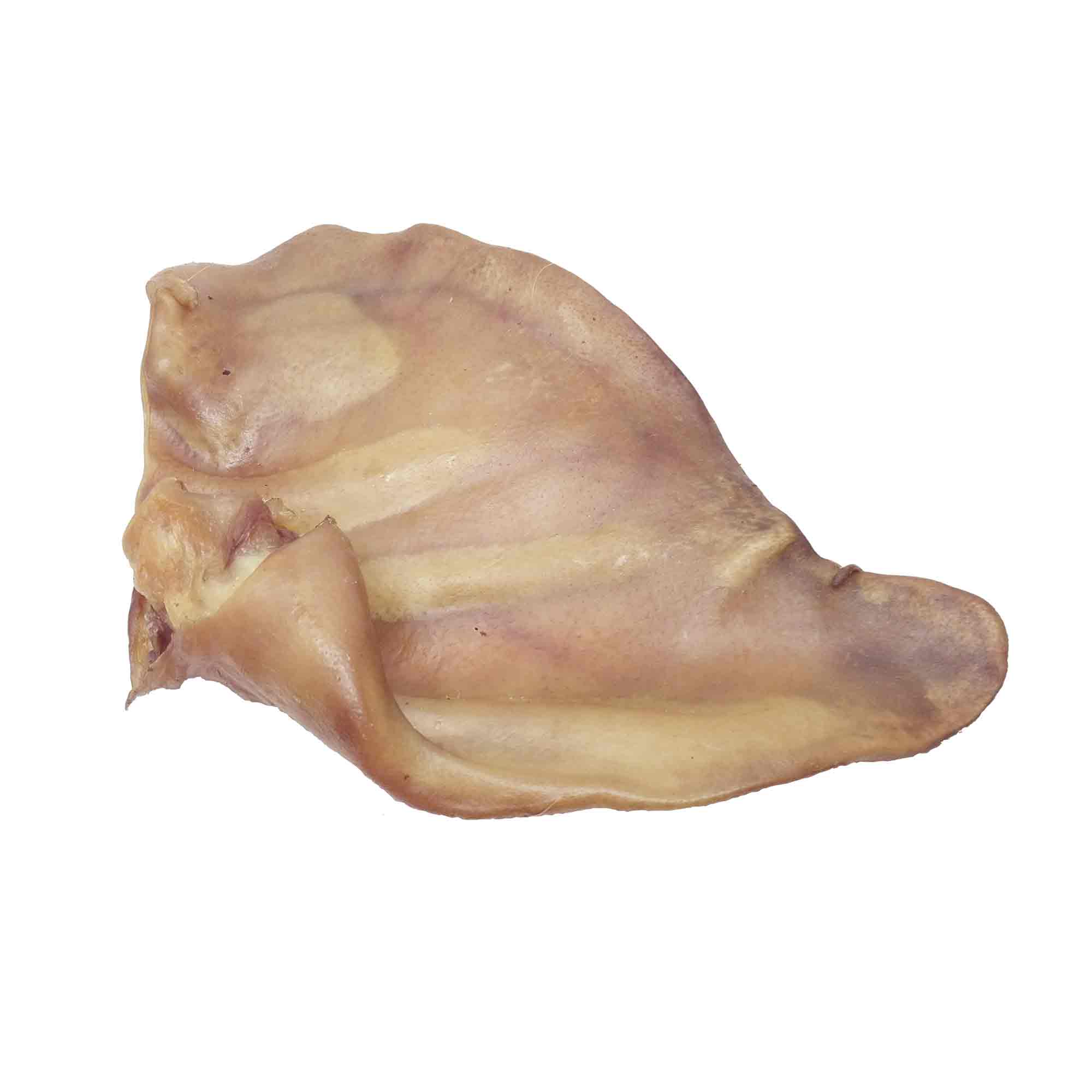 Comprar Orejas de Cerdo Deshidratadas para Perros con ÑomÑom: Productos de Perros en Costa Rica