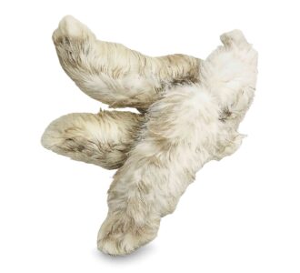 Patas de conejo deshidratadas para perros en Costa Rica snack natural ÑomÑom