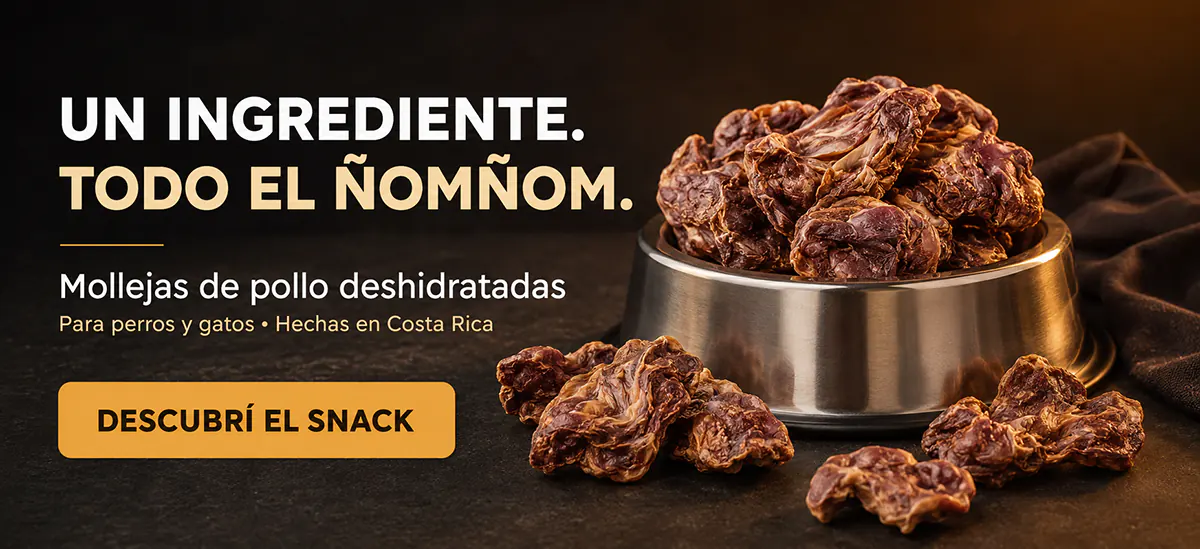 Mollejas de pollo deshidratadas ÑomÑom para perros y gatos en Costa Rica