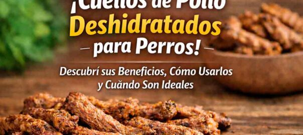 Cuellos de Pollo Deshidratados para Perros: Beneficios, Uso y Guía Responsable