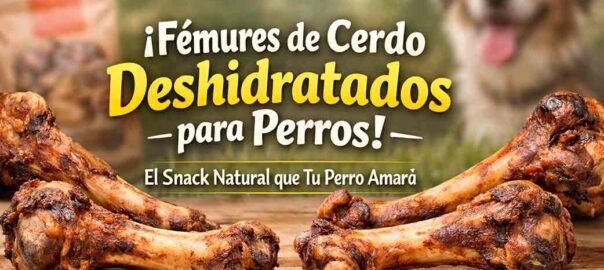 Fémures de cerdo deshidratados para perros: qué son, beneficios y cómo usarlos