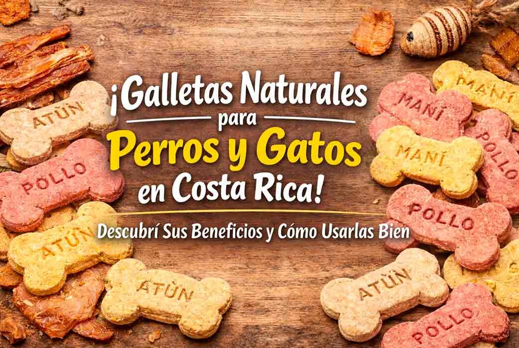 Galletas Naturales para Perros y Gatos en Costa Rica: Beneficios y Uso Responsable
