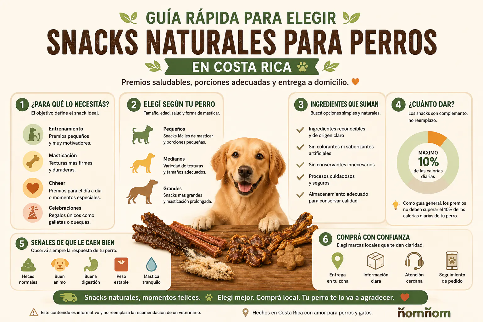 Infografía sobre cómo elegir snacks naturales para perros en Costa Rica según uso, tamaño, ingredientes, porciones y entrega a domicilio