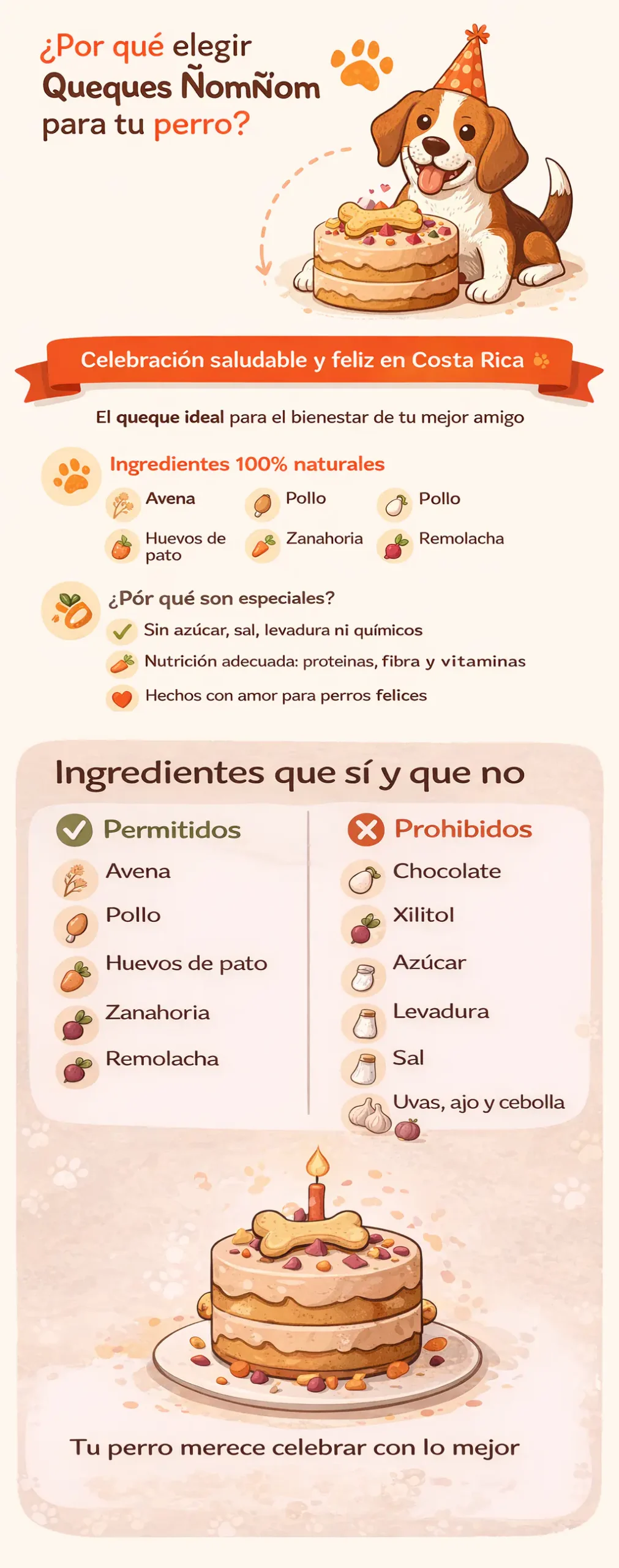 Infográfico: Ingredientes permitidos y prohibidos en queques para perros (ÑomÑom Costa Rica)