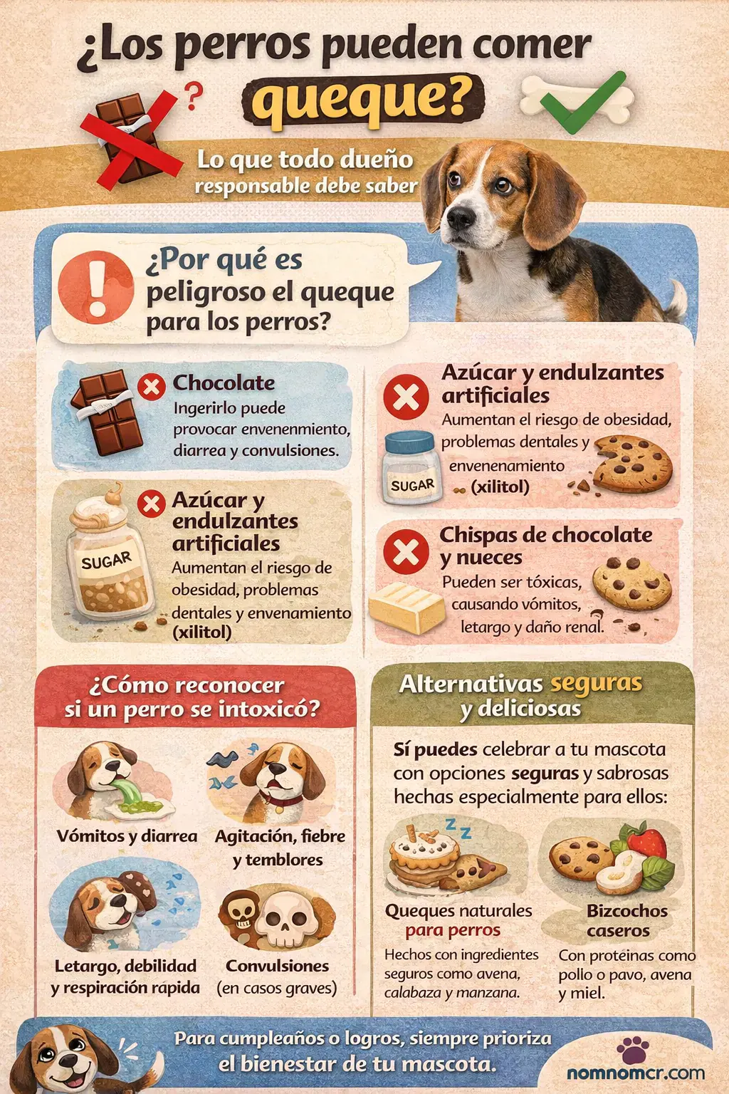 Infografía sobre si los perros pueden comer queque, con ingredientes peligrosos, síntomas de alerta y alternativas seguras para perros