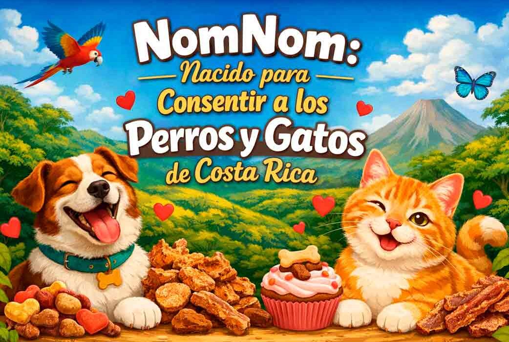 Banner de NomNom Costa Rica con perro y gato felices rodeados de galletas y deshidratados naturales frente a un paisaje tropical.