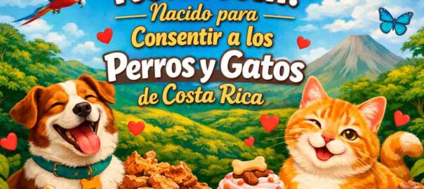 NomNom Nace para los Perros y Gatos de Costa Rica