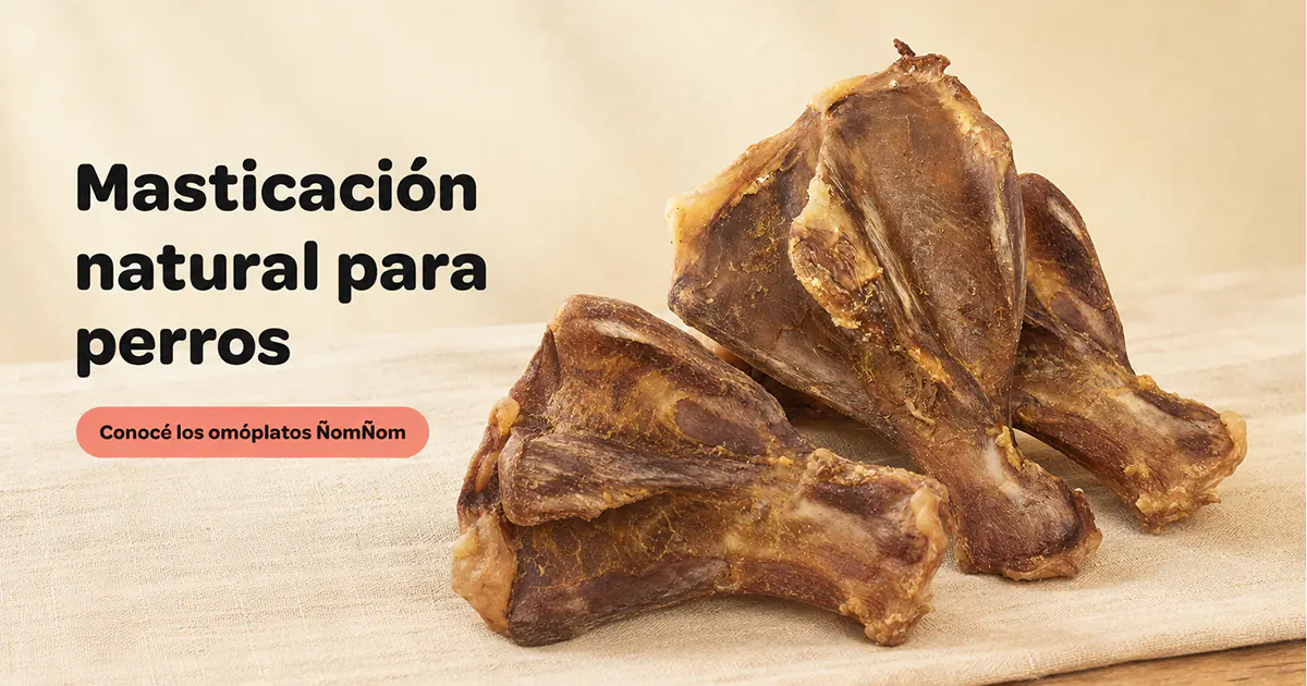Omóplatos de cerdo deshidratados ÑomÑom para perros en Costa Rica