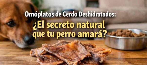 Omóplatos de Cerdo Deshidratados para Perros: Beneficios y Uso Seguro