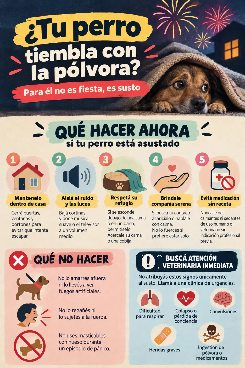 Infografía en español sobre qué hacer si tu perro tiembla con la pólvora en Costa Rica: mantenerlo dentro de casa, aislar el ruido y las luces, respetar su refugio, brindar compañía serena y evitar medicación sin receta; qué no hacer; y señales para buscar atención veterinaria inmediata.
