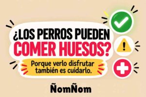 ¿Los perros pueden comer huesos? Banner de ÑomÑom con íconos de seguridad, advertencia y atención veterinaria sobre los riesgos de dar huesos a los perros.