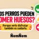 ¿Los perros pueden comer huesos? Banner de ÑomÑom con íconos de seguridad, advertencia y atención veterinaria sobre los riesgos de dar huesos a los perros.
