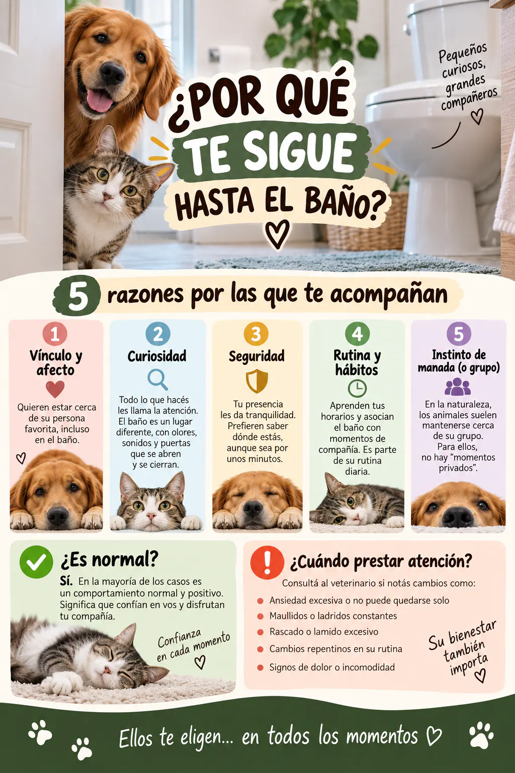 Infografía sobre por qué perros y gatos siguen a sus dueños hasta el baño, con razones como vínculo, curiosidad, seguridad, rutina e instinto de grupo
