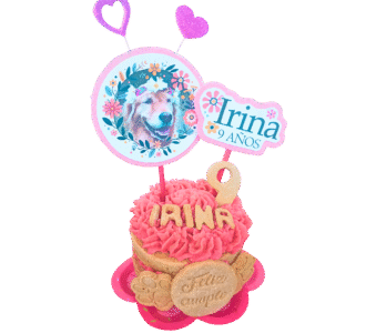 Comprar Queques para Perros y Gatos en Costa Rica 🎂