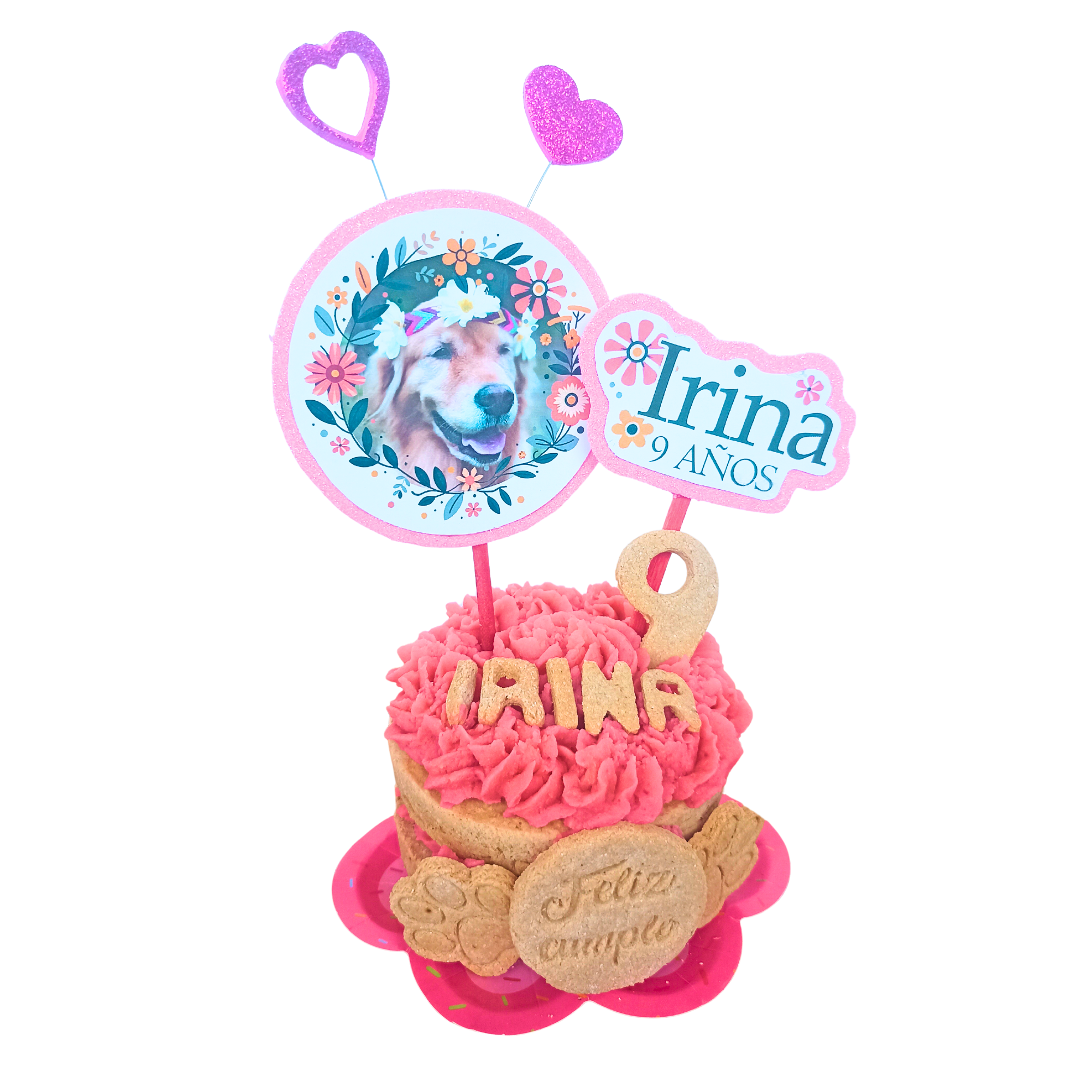 Comprar Queques para Perros y Gatos en Costa Rica 🎂